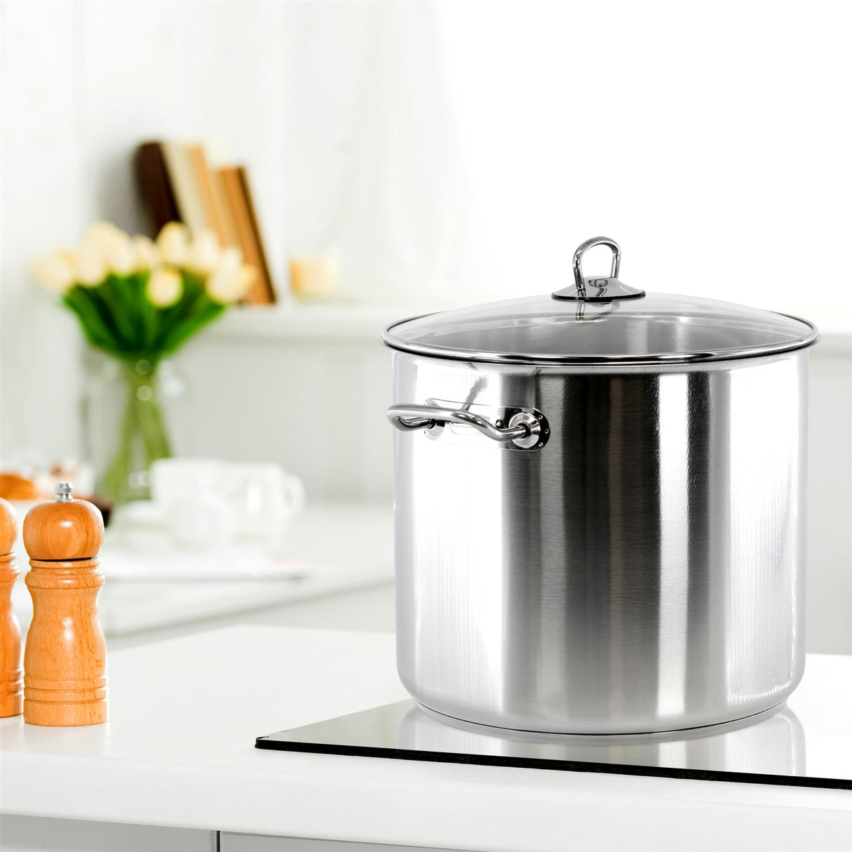 Stainless Steel Stock Pot with Glass Lid - 20 L