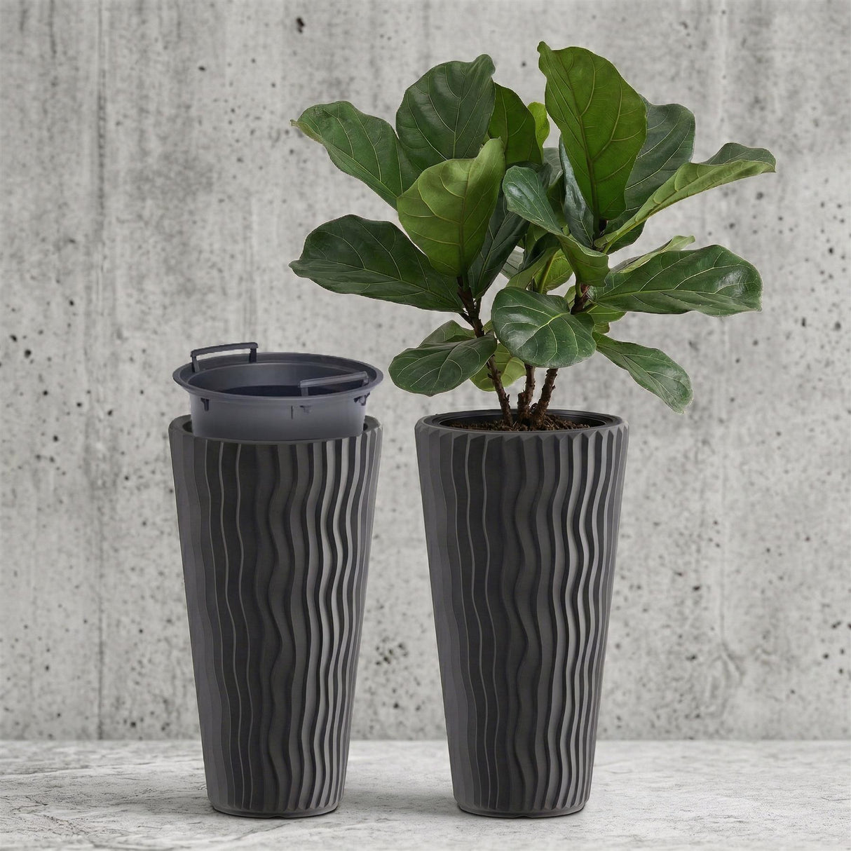 A potted green plant sits next to two ribbed, dark grey ceramic containers on a surface.