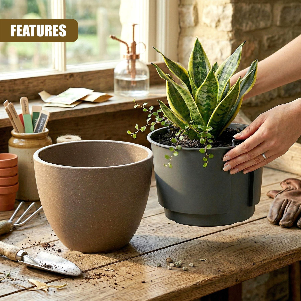 A variegated houseplant sits in a dark pot next to a large tan flower pot on a wooden table.