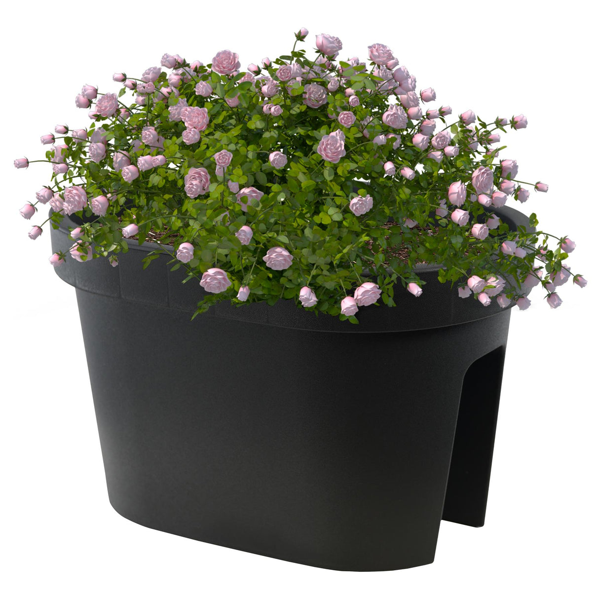 Flower Bridge Hanging Planter Oval Pot