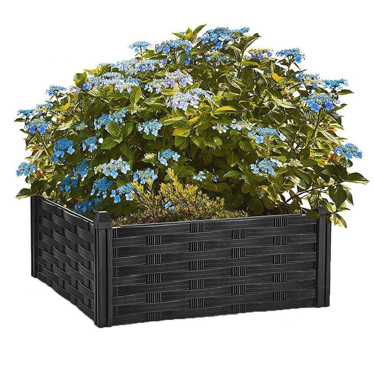 Raised Flower Bed Garden Fence Lawn Edging Rattan Effect Pot Planter, 4 Piece by GEEZY - UKBuyZone