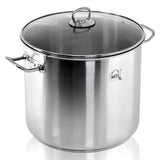 Stainless steel stockpot featuring a rounded pot body, a clear glass lid, and side handles.
