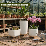 Various white planters of different shapes and sizes holding live plants and flowers.
