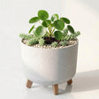 Light gray planter pot with three wooden legs, holding mixed succulents and green foliage.