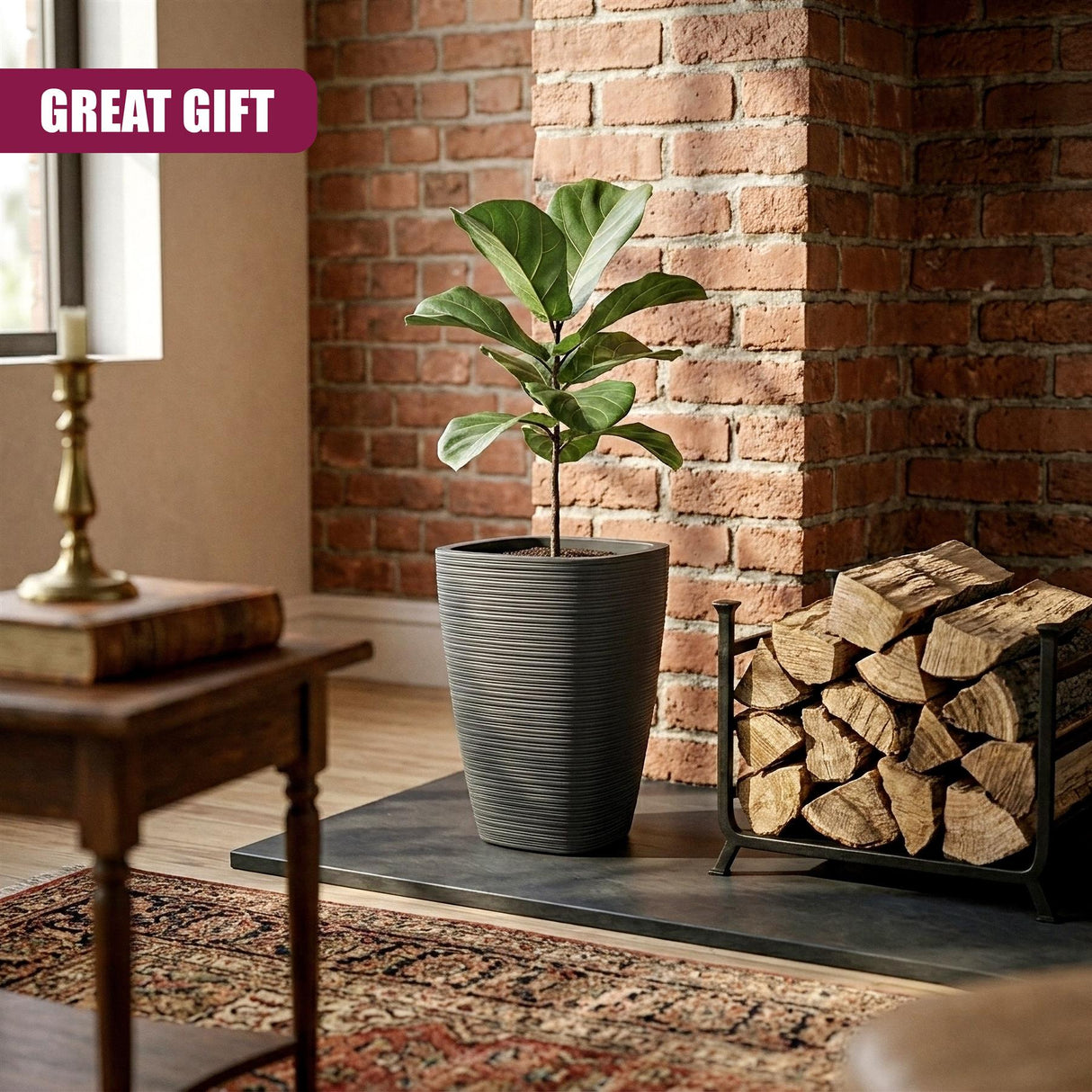 A leafy houseplant rests in a tall, gray cylindrical pot with vertical ribbed detailing.
