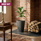 A leafy houseplant rests in a tall, gray cylindrical pot with vertical ribbed detailing.
