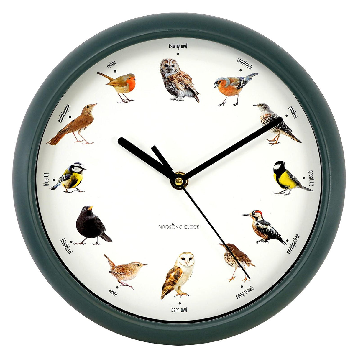 Birdsong Wall Clock with 12 Songs