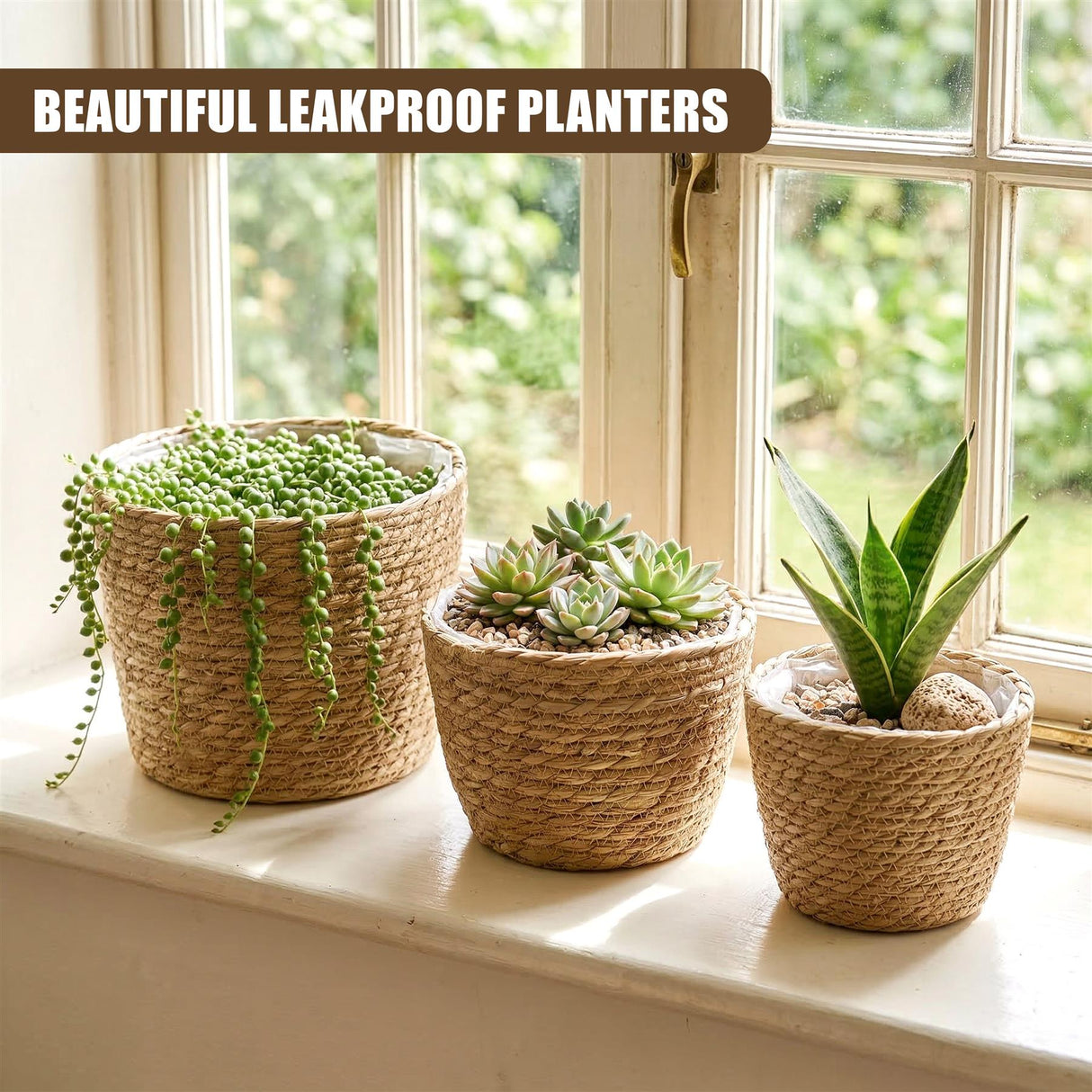 Three woven planters hold various plants, including succulents, trailing vines, and upright foliage.