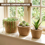 Three woven planters hold various plants, including succulents, trailing vines, and upright foliage.
