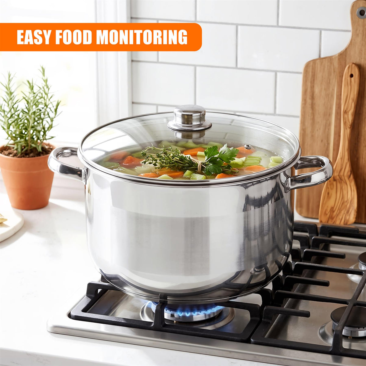Stainless Steel Stock Pot with Lid - 11.5 L