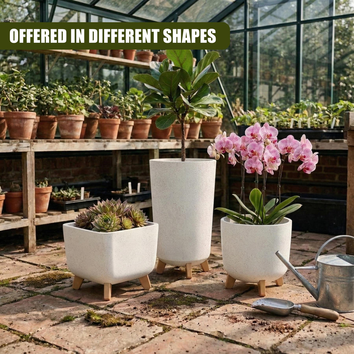 Three white planters with legs hold succulents and foliage plants on a textured stone surface.