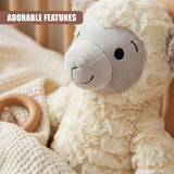 10" Lamb Soft Toy