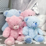 Plush Teddy Bear Soft Toy with Ribbon (Pink) by The Magic Toy Shop - UKBuyZone
