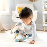 Fisher-Price On-the-Go Koala Soother