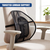 Mesh Back Support