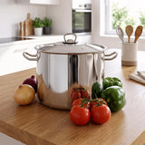 Arian Gastro Stock Pot - 11 L