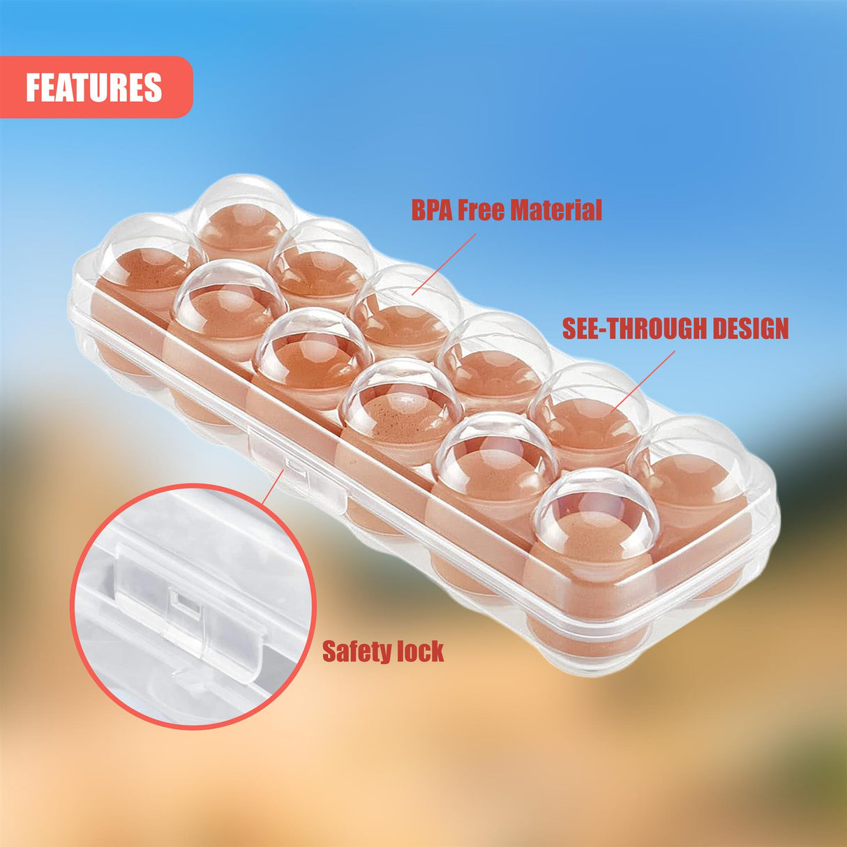 12 Eggs Holder With Lid by GEEZY - UKBuyZone