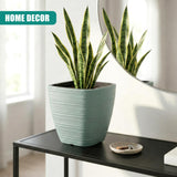 Ribbed mint-green pot holding tall, variegated snake plants on a dark surface next to a small dish.