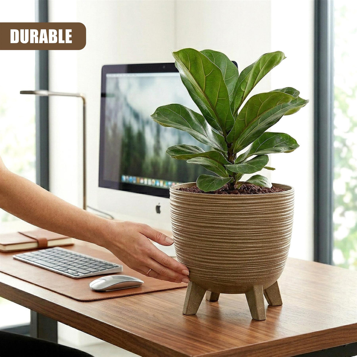 A brown, ribbed, four-legged pot holding a large green plant on a wood desk surface.