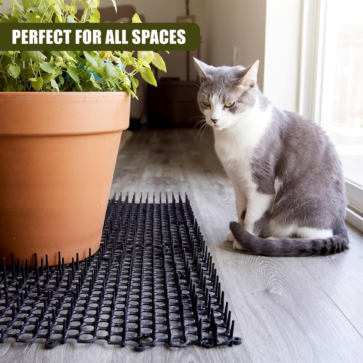 6-Piece Cat Deterrent Spikes