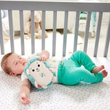 Fisher-Price Calming Vibes Hedgehog Soother