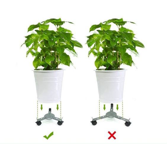 Plant Stand On Wheels by GEEZY - UKBuyZone