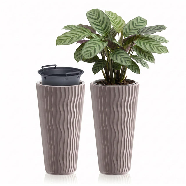 Two textured brown planters. One pot contains a healthy variegated plant, while the matching pot is empty and ready for planting.