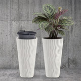 A pair of white ribbed planters on a surface, featuring one pot with a large variegated plant.