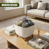 A planter with wooden legs holds blue-green succulents on a wooden coffee table.
