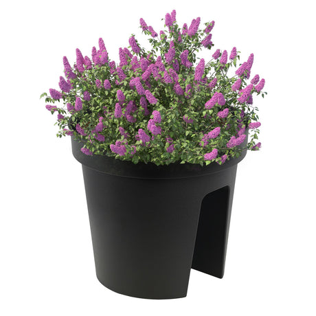 Flower Bridge Hanging Planter Round Pot by GEEZY - UKBuyZone