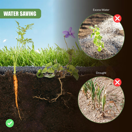 excess water drought plant roots - UKBuyZone