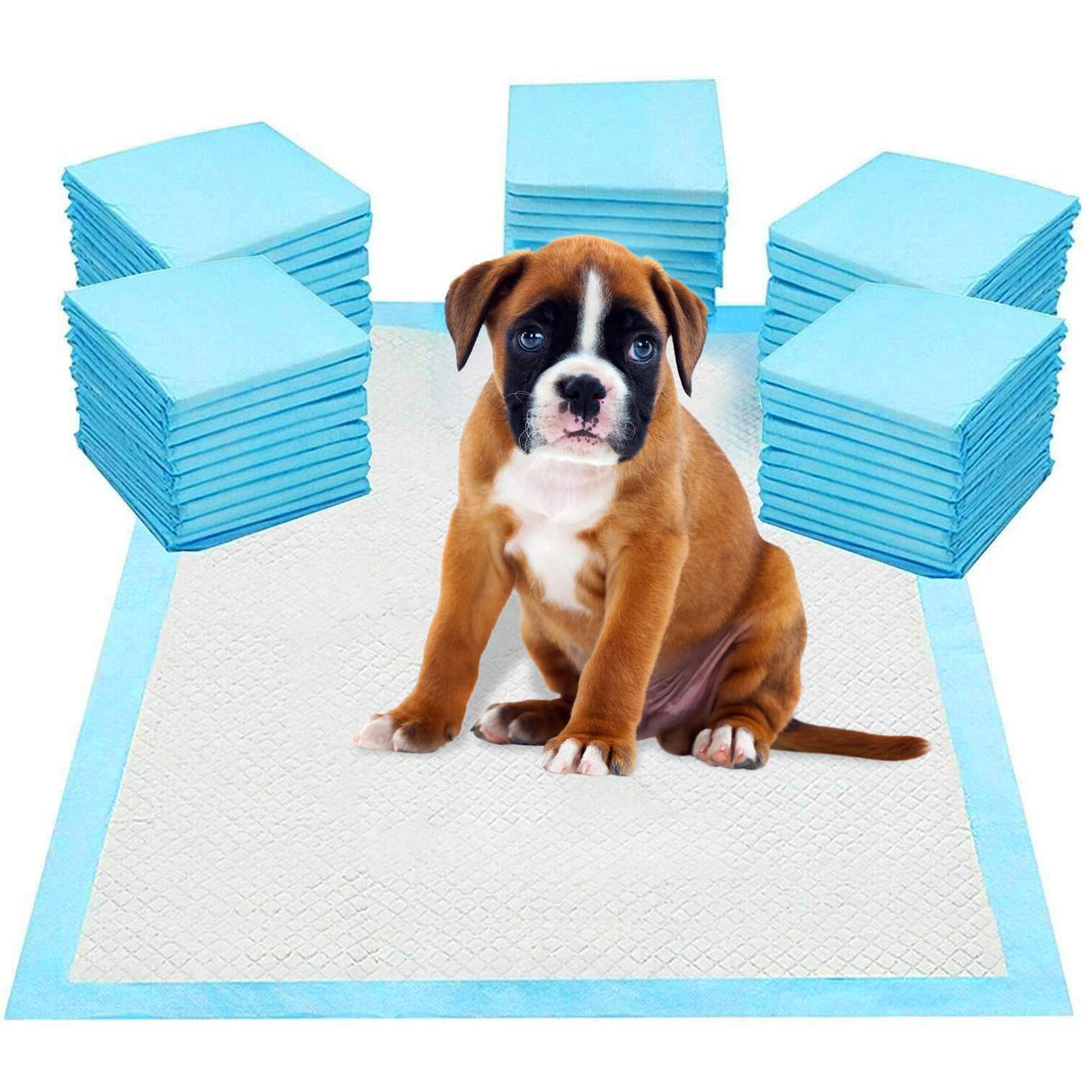 Geezy Large Training Pads for Dogs