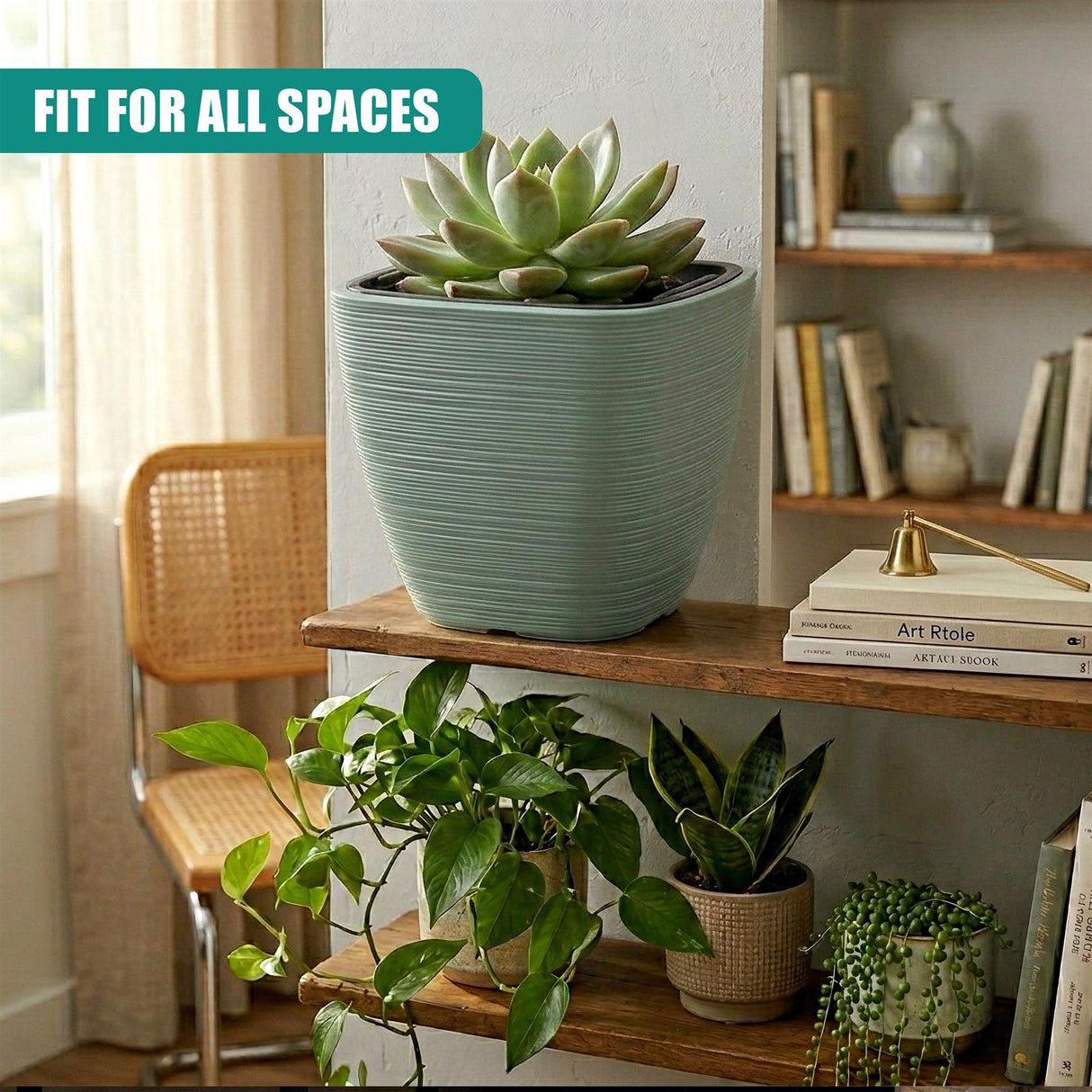 Ribbed, pale green square pot displaying a succulent plant on a rustic wooden shelf among books.