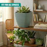 Ribbed, pale green square pot displaying a succulent plant on a rustic wooden shelf among books.
