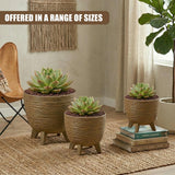 Three woven brown flower pots with legs displaying varying sizes of green succulents.