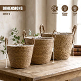 Set of 3 Wicker Planters with Handles