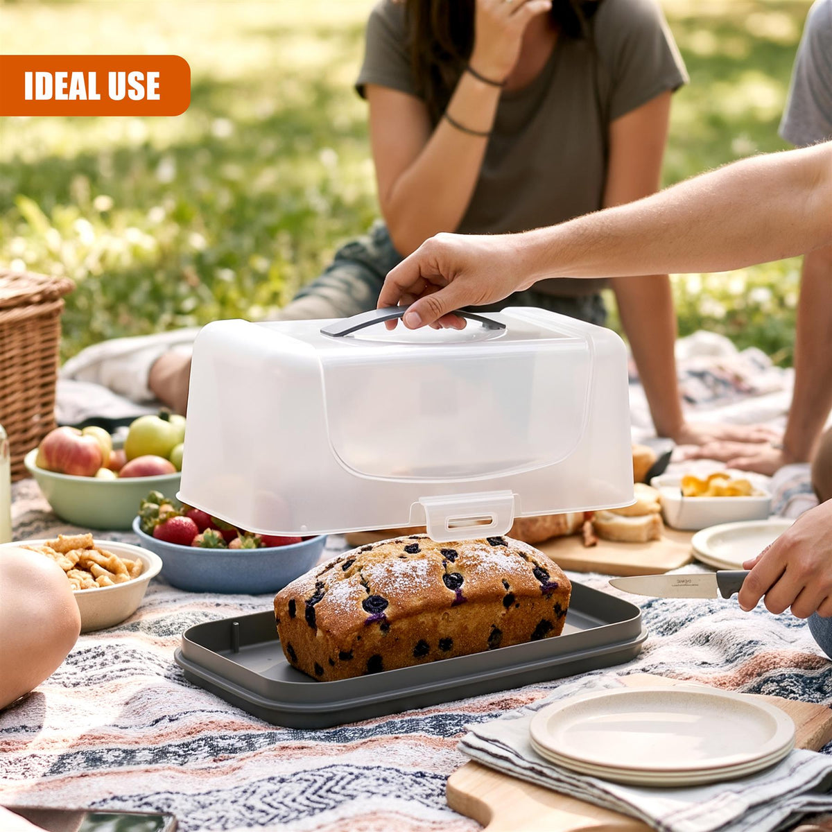 Rectangular Cake Carrier with Handle and Lid