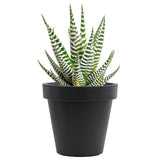 Small Round Anthracite Flower Planter 20 x 18 cm by Geezy - UKBuyZone