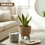 Brown pot with three legs holds a visible green snake plant, providing natural house decoration.