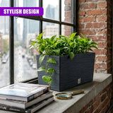 Dark, rectangular planter filled with green foliage sits on a windowsill next to stacked books and a magnifying glass.