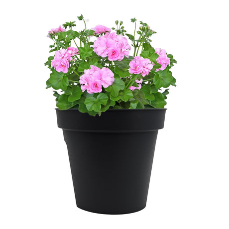 Flower Bridge Hanging Planter Round Pot by GEEZY - UKBuyZone