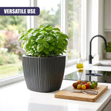 Black pot with basil sits beside a cutting board holding tomatoes and metal shears.