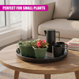 A grouping of planters, small potted plants, and black vessels arranged on a round wooden tray.