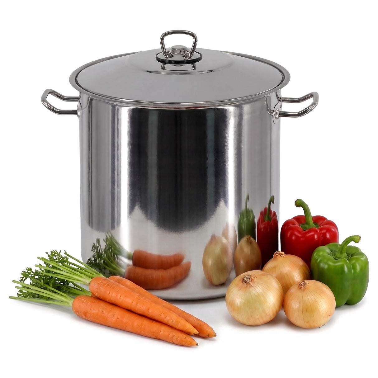 Arian Gastro Stock Pot - 21 L
