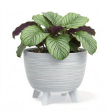 White Flower Pot with Legs, 29 cm