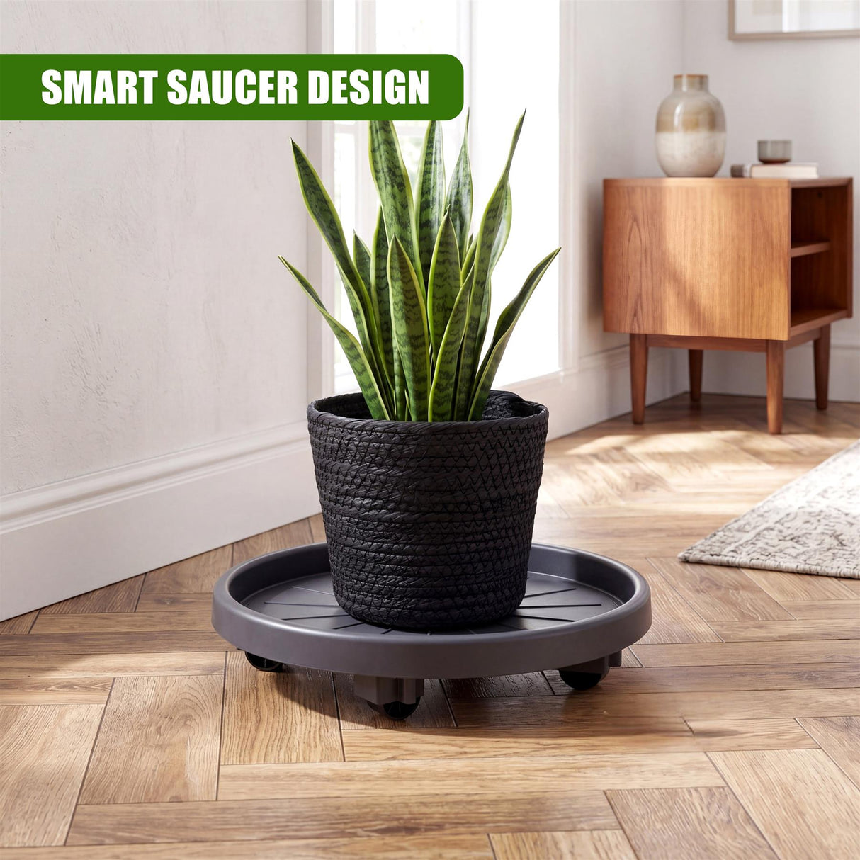 Potted green plant resting on a round, gray, wheeled plant caddy on a hardwood floor.