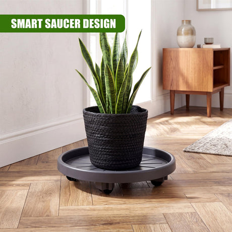 Potted green plant resting on a round, gray, wheeled plant caddy on a hardwood floor.