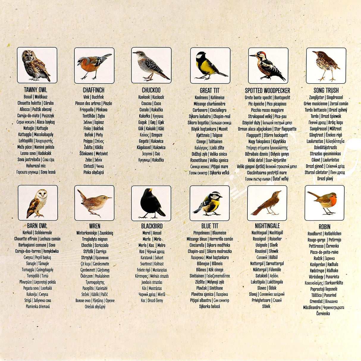 Birdsong Wall Clock with 12 Songs