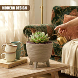 Ceramic planter pot on short legs holding a green succulent, displayed on a light wooden table surface.