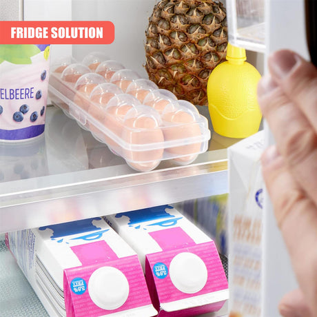 12 Eggs Holder With Lid by GEEZY - UKBuyZone
